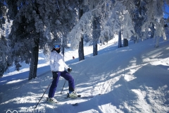 off-piste-skiing-in-poiana-brasov with R&J pro ski instructors